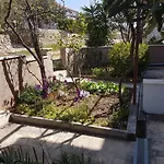 Apartment Lenka
